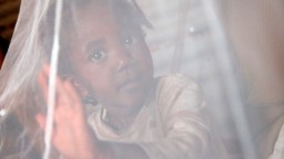 Child behind mosquito net