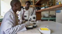 Scientists doing lab work