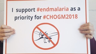 Woman holding a sign about ending malaria