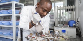 Malaria is a hidden frontline in preparing for the next pandemic