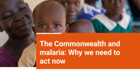 The Commonwealth and malaria: why we need to act now