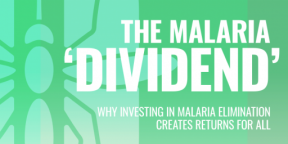 Fighting malaria offers global economic boost