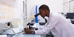 World Malaria Report 2024: Funding shortfalls are stalling progress