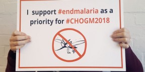 Cross-party support for UK leadership on malaria