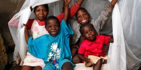 Guarantee the distribution of 49.7 million nets between 2011 and 2016, saving 800,000 lives