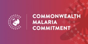 One year on from the Commonwealth commitments 