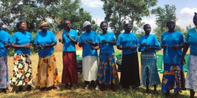 Brilliant achievements by local Kenyans to fight malaria