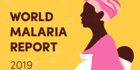 Global progress in the fight against malaria: the World Malaria Report 2019 is here