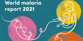 World Malaria Report 2021