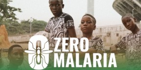 Latest from the Zero Malaria campaign